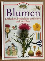 Blumen, entdecken, beobachten, bestimmen und verstehen, 1999 Dresden - Striesen-Süd Vorschau