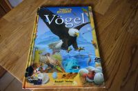 Tessloff Welt des Wissens Kinder Buch Vögel, neuwertig Baden-Württemberg - Ravensburg Vorschau