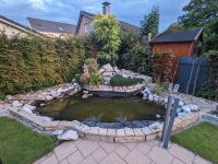 TOP Gartenteich Set komplett Zubehör Pflanzen Folie Steine Deko Nordrhein-Westfalen - Monheim am Rhein Vorschau