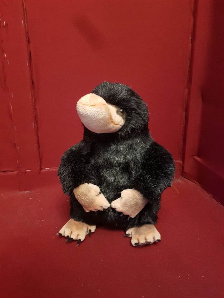 Original Steiff Niffler von Fantastische Tierwesen / Harry Potter in Mönchengladbach