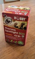 Hobby Thermo Spotlight Eco 42 W Wärmespot Terrarium Brandenburg - Falkensee Vorschau