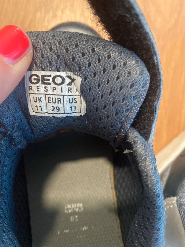 Geox Sneaker Größe 29 in Kleinmachnow