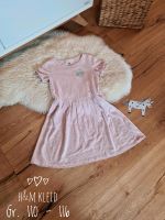 H&M Kleid Basic  Gr. 110 - 116 ❤️ Rosa & Apfel - Glitzer Bayern - Wieseth Vorschau