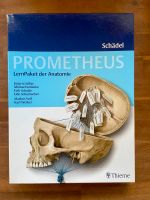 PROMETHEUS - Schädel - Lernpaket der Anatomie - Medizin Münster (Westfalen) - Centrum Vorschau