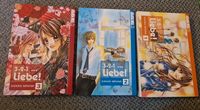 3,2,1 Liebe Manga (Teil 1-3) Nordrhein-Westfalen - Witten Vorschau