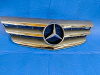 Kühlergrill Mercedes gebraucht. Guter Zustand Thüringen - Heilbad Heiligenstadt Vorschau