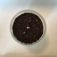 Pflanzen Fett Kerze im Glas mit Kaffee Leipzig - Kleinzschocher Vorschau