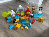 Lego Duplo Box großer Tierpaß Dortmund - Eving Vorschau