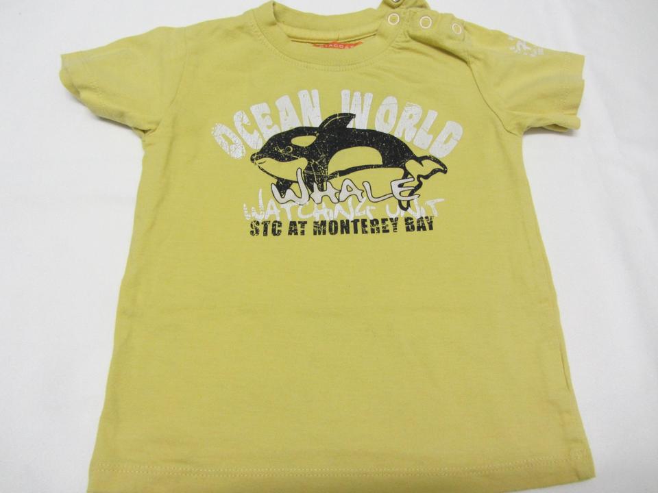 T-Shirts Kurzarm Kurzarmshirts Gr. 80 - Preis pro Stück 1,00 € in Bad Oeynhausen