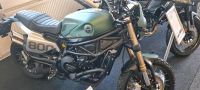 Benelli Leoncino 800 Trail Hessen - Hainburg Vorschau