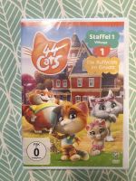 DVD Buffycats, 44 Cats Baden-Württemberg - Rietheim-Weilheim Vorschau