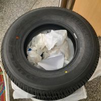 Bridgestone Reifen  195/80 R15 96 S Sachsen - Reichenbach (Vogtland) Vorschau