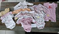 Babybody Set 13 Stück Gr 50/ 56  - 68 Niedersachsen - Elbe Vorschau