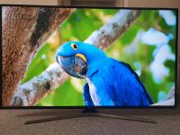 Fernseher (Samsung)Smart TV  WLAN  55 Zoll 140cm  4K UHD Osternienburger Land - Wulfen Vorschau