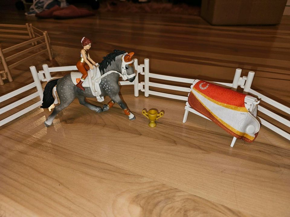 Schleich Horse Club Voltigierset in Bergheim