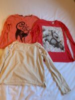 Mädchen Sweatshirt Pullover H&M Ernsting’s family beige rot 170 Brandenburg - Luckau Vorschau