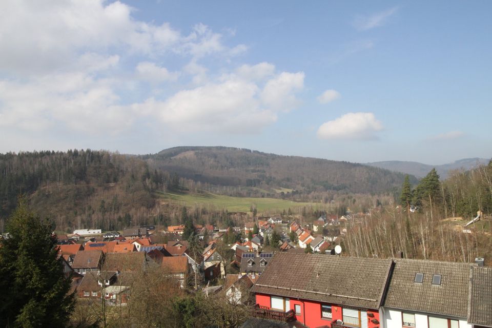 Eigentumswohnung Lautenthal mit tollem Talblick in Lautenthal