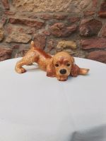 Goebel Hund Cocker Spaniel Rheinland-Pfalz - Rhodt unter Rietburg Vorschau