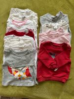 Diverse Langarmshirts Sweatshirts Gr. 68 Niedersachsen - Salzgitter Vorschau