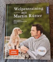 Welpentraining mit Martin Rütter Hamburg-Mitte - Hamburg Hammerbrook Vorschau