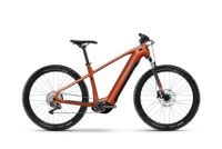 Haibike AllTrack 6 29" MTB Pedelec E-Bike Elektrofahrrad  720Wh Niedersachsen - Garrel Vorschau