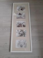 Ikea Ribba Collage weiss/beige Hessen - Biebertal Vorschau