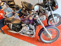 Harley Davidson Sportster Nordrhein-Westfalen - Sprockhövel Vorschau