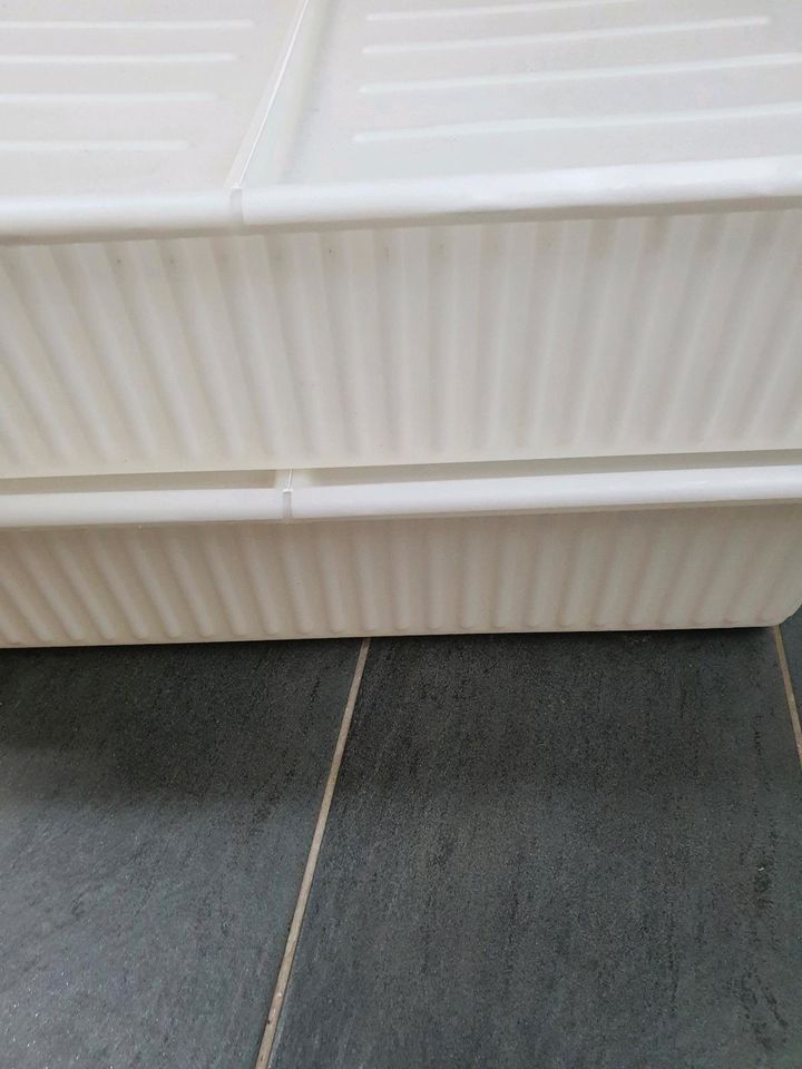 2x Unterbett Aufbewahrungsbox von Ikea in Essen