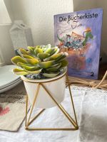 Blumentopf Kunstpflanze String für Regal Gold weiß Übertopf Katze Sachsen-Anhalt - Magdeburg Vorschau