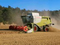 Lohndrusch, Lohndreschen, Mähdrusch mit Mähdrescher Claas Lexion Bayern - Strahlungen Vorschau