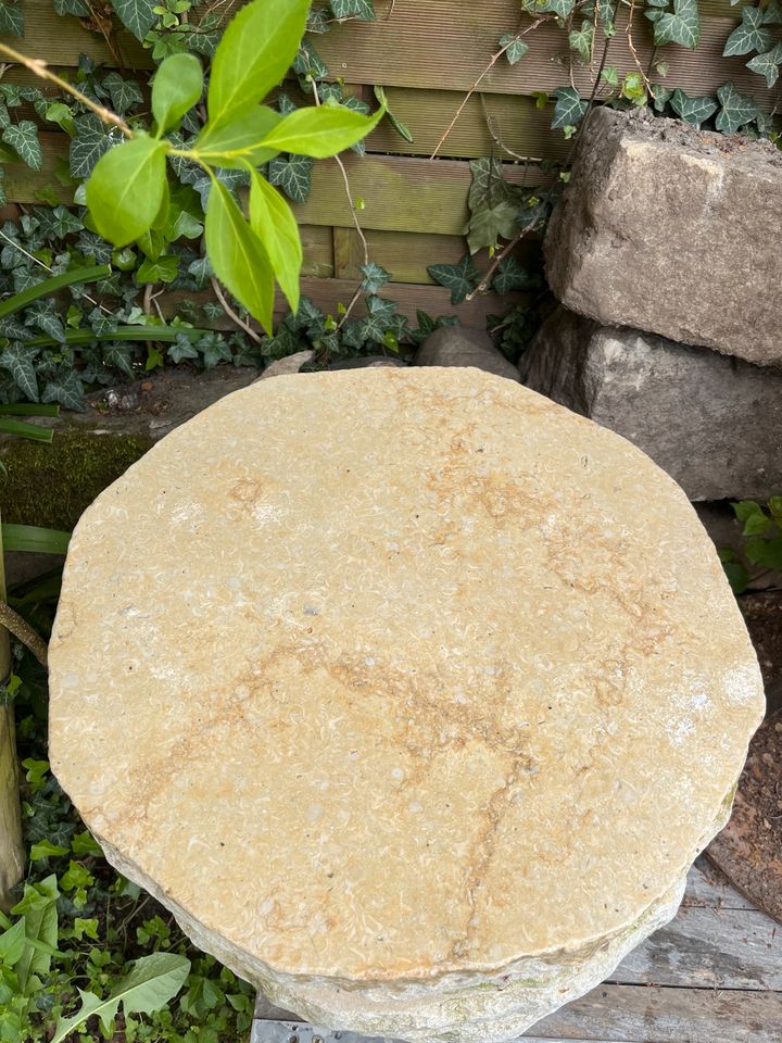 Trittplatte Gehwegplatte Rund Naturstein Sandstein NEU 30 cm in Göttingen