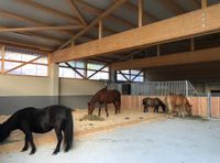 Stallplatz im Selbstversorgerstall Baden-Württemberg - Vöhringen Vorschau