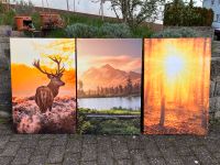 Bilderset auf Keilrahmen 60x90cm Hirsch Wald Baden-Württemberg - Weinstadt Vorschau