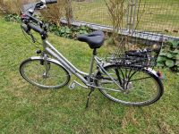 Bergsieger Alu Damen Fahrrad Rh 53 cm; Dualdrive Schaltung Nordrhein-Westfalen - Paderborn Vorschau