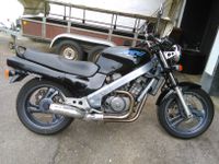 Honda NTV 650 Revere Rheinland-Pfalz - Waldbreitbach Vorschau