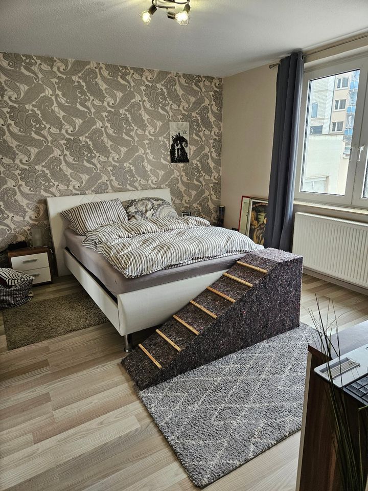 2-Zimmer Wohnung in Fußgängerzone, ideal für Paare oder Singles! in Gießen
