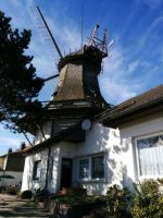 TOP Ferienhaus in Carolinensiel an der Harle Wittmund - Carolinensiel Vorschau