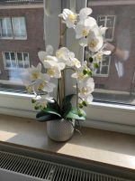3 Künstliche Orchideen hohe Qualität Nordrhein-Westfalen - Viersen Vorschau