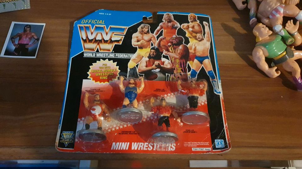 Wwf wwe wrestling figuren hasbro mattel in Gundelsheim