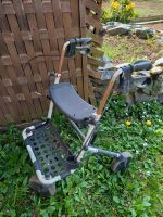 Dolomite Rollator Hessen - Griesheim Vorschau