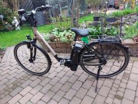 City e bike Hessen - Pfungstadt Vorschau