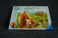 Pony Puzzle Schleswig-Holstein - Preetz Vorschau