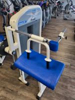 REEBOK GYM TRIZEPS OLDSCHOOL TRICEPS MACHINE KRAFTGERÄT 80 Nordrhein-Westfalen - Senden Vorschau