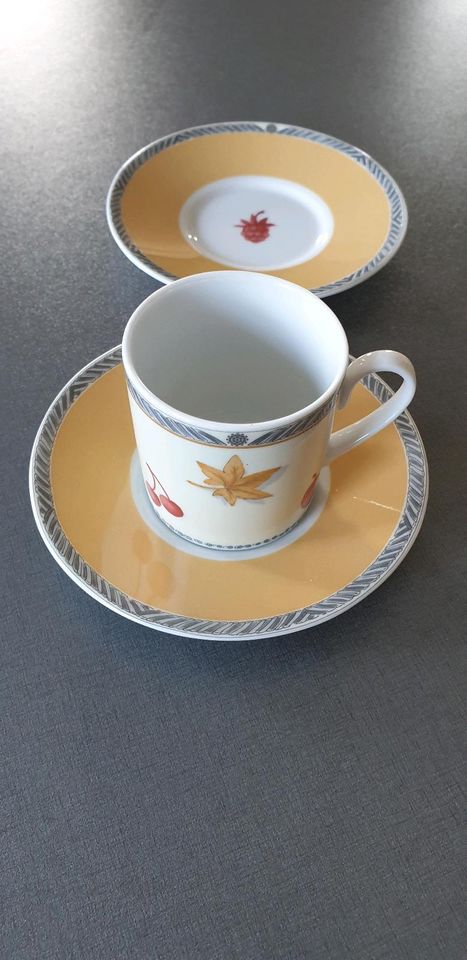 Espressotasse mit 2 Untertassen Rosenthal in Aubstadt