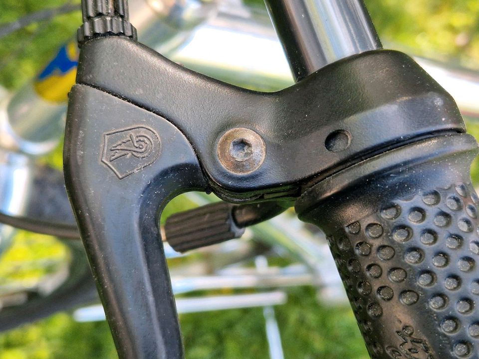 Fuchs MTB in Teilen, komplette Vintage campagnolo Ausstattung in München