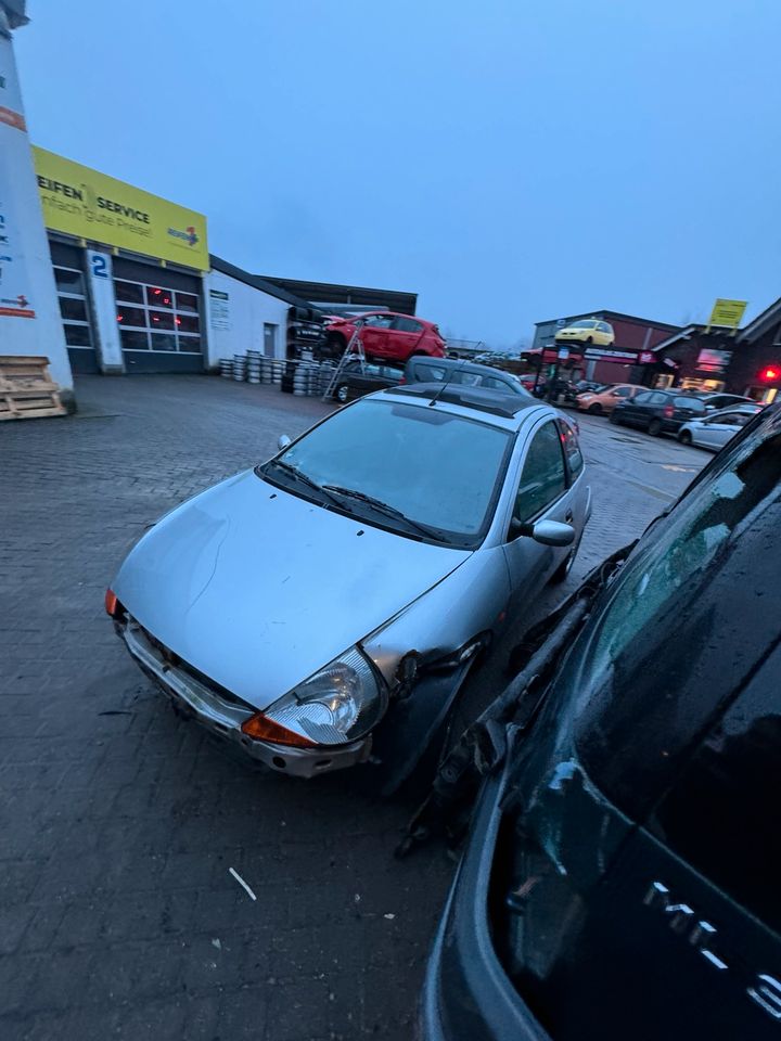 Ford Ka 1.3 L 44 KW Autoteile Ersatzteile Schlachtfest in Waldbröl