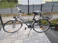 Fahrrad Giant Damen Brandenburg - Beeskow Vorschau
