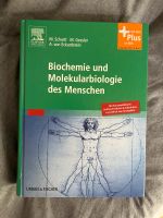 Biochemie Elsevier Verlag Hessen - Gießen Vorschau