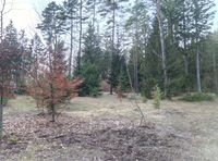 Freizeitgrundstück / Wald  bei Ebermannstadt Bayern - Forchheim Vorschau