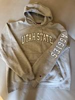 Sweatshirt - Champion - Gr. L Niedersachsen - Sittensen Vorschau